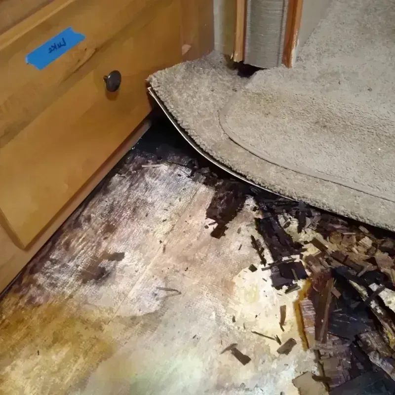 Wood Floor Water Damage in Valencia, CA